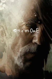 Anemone - Anemone