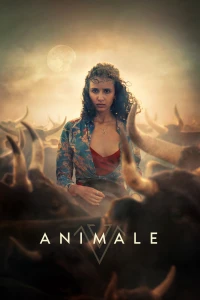 Animale - Animale