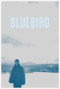 Chim Xanh - Bluebird