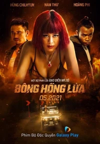 Bông Hồng Lửa - A Phoenix From The Ashes