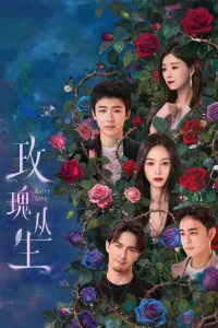 Bụi Hoa Hồng - About Love