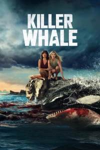 Cá Voi Sát Thủ - Killer Whale