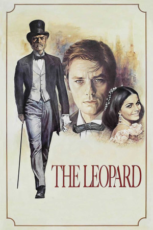 Con Báo - Il gattopardo / The Leopard
