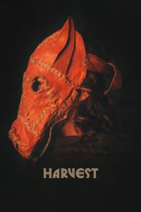 Mùa Gặt - Harvest