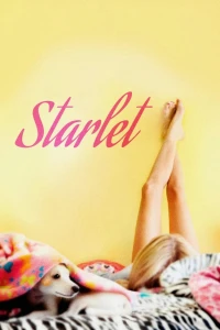 Ngôi sao - Starlet