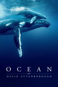Ocean with David Attenborough - Ocean with David Attenborough