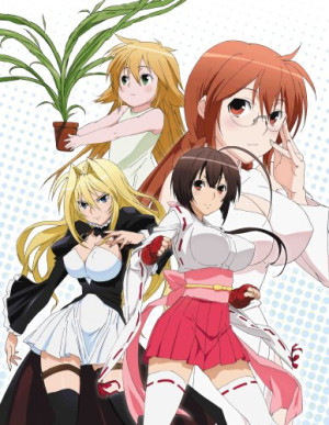 Sekirei: Hajimete no Otsukai - Sekirei OVA, Sekirei Special