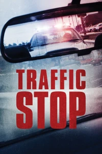 Vụ Dừng Xe - Traffic Stop